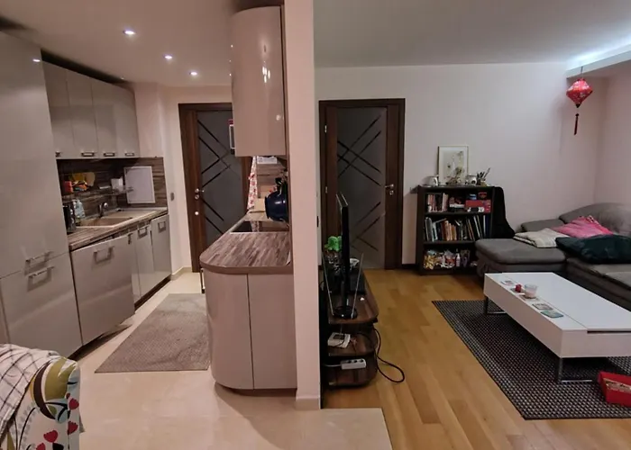 Tina's Shared * Sofia